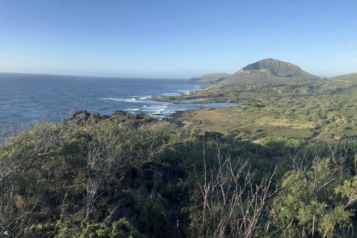 BLOG 3